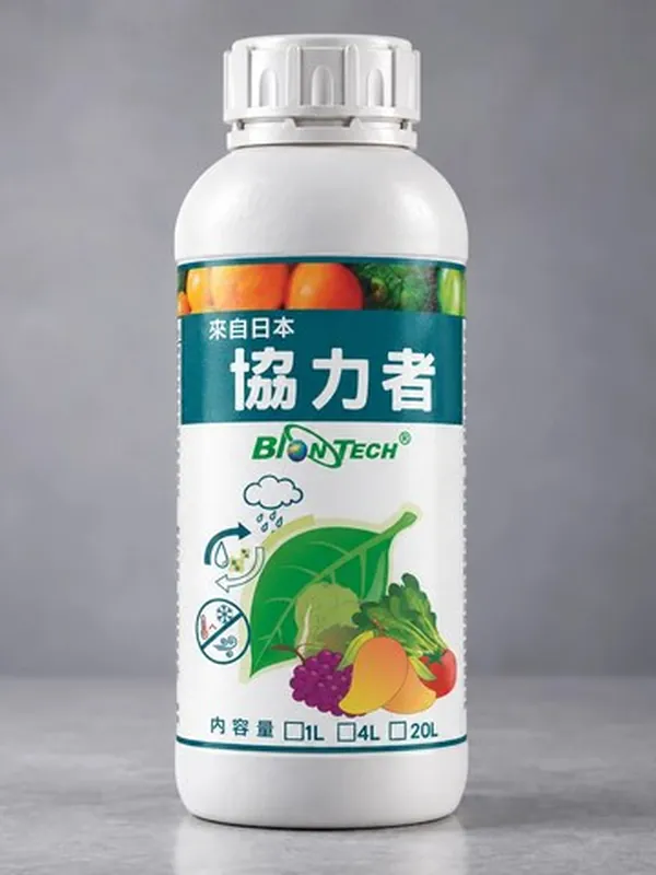 協力者 包裝正面