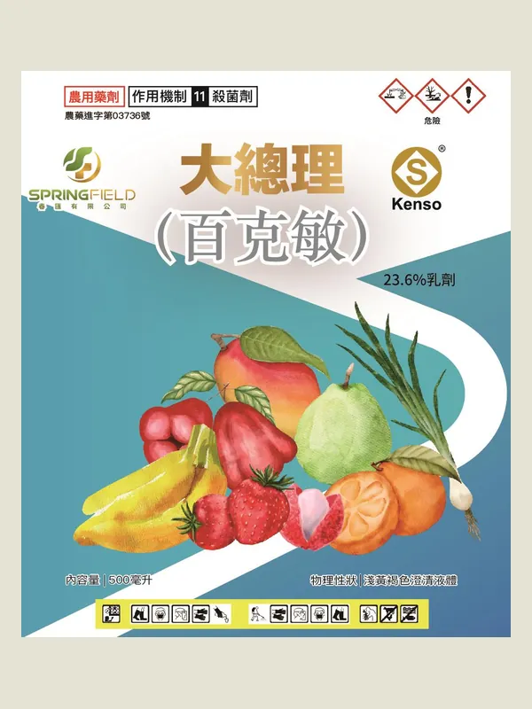 大總理 包裝正面