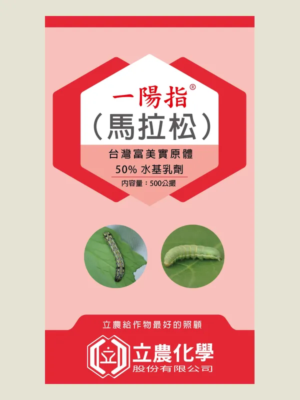 一陽指 包裝正面
