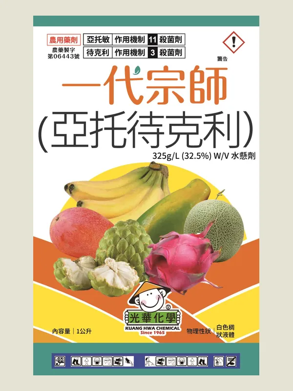 一代宗師 包裝正面